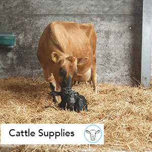 Cattle Supplies